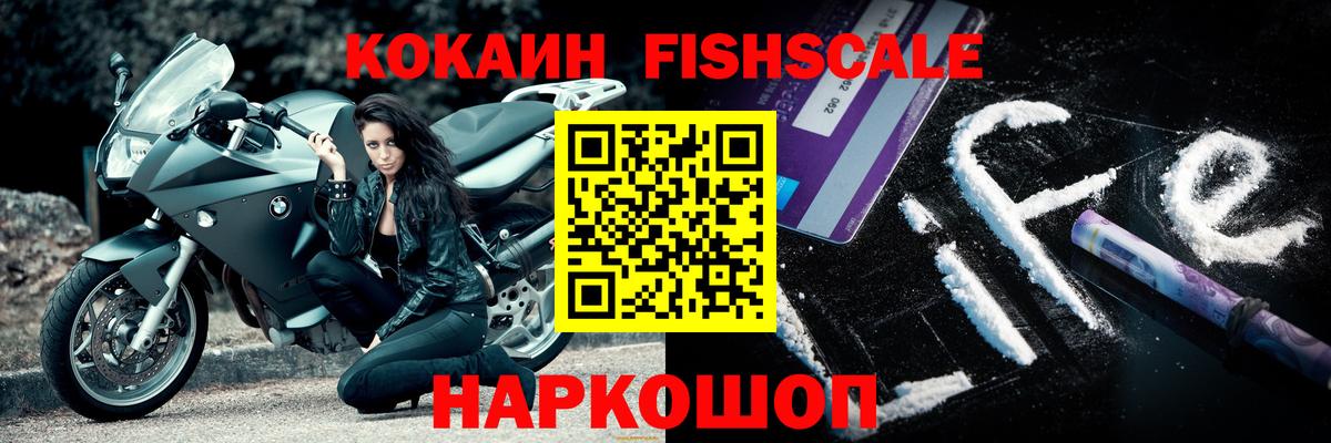 Cocaine Fish Scale  Вход с VPN  COCAIN Fish Scale  Кулебаки 