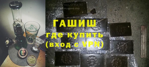 хмурый Арсеньев