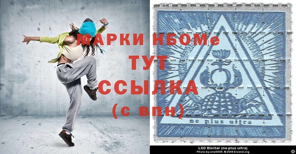 хмурый Арсеньев