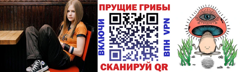 Галлюциногенные грибы MAGIC MUSHROOMS  OMG онион  Кулебаки 