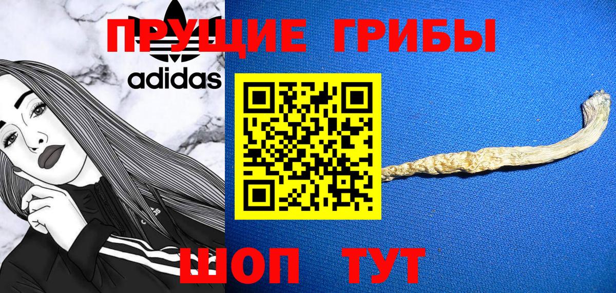 Кулебаки  Псилоцибиновые грибы прущие грибы  Галлюциногенные грибы мицелий  Вход с VPN 